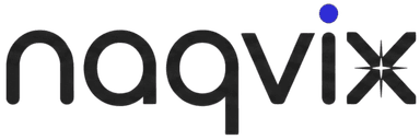 NaqviX logo
